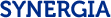 logo Projektu Synergia